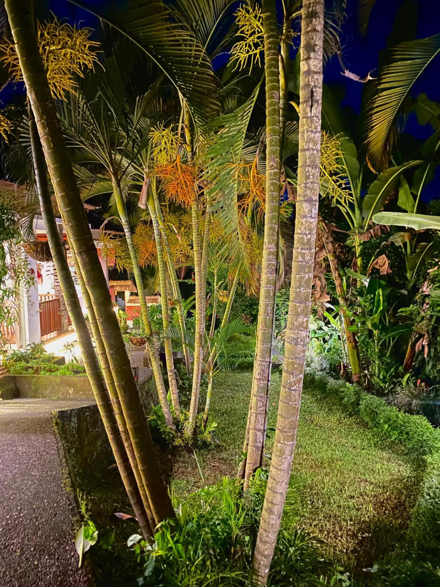Ardan Maison Ubud Екстер'єр фото